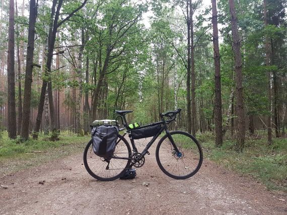 Through a forest in Poland